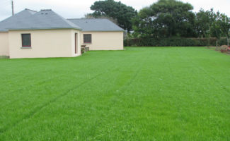 espace vert gazon